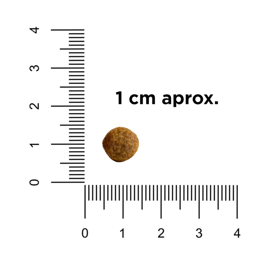 Pienso sin cereales Zen Helthy cachorro hipoalergenico - 2.5KG